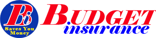 Budget Insurance